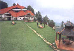 Kufri Resort